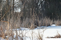 Killikus&reg; Fotographie